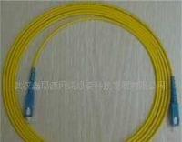 SC-SC多模光纤跳线（3米） 连接未来网络的关键组件